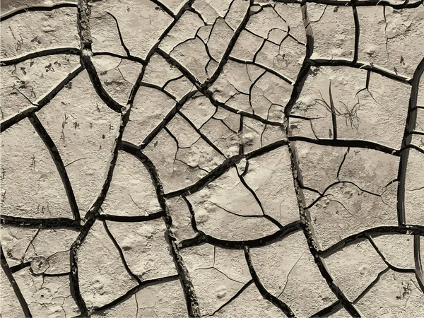 Çatlak yeryüzü arka planı. Toprak yüzeyinde çatlaklar var. Çamur çatlakları.