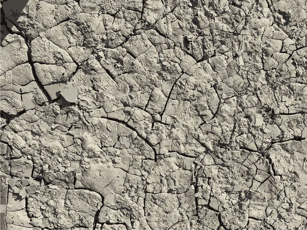 Çatlak yeryüzü arka planı. Toprak yüzeyinde çatlaklar var. Çamur çatlakları.