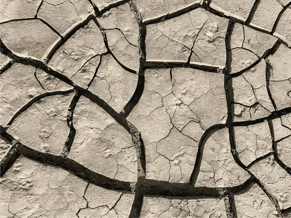 Çatlak yeryüzü arka planı. Toprak yüzeyinde çatlaklar var. Çamur çatlakları.