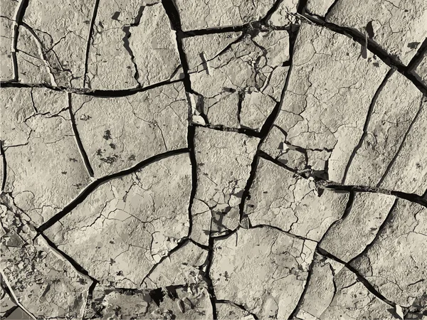 Çatlak yeryüzü arka planı. Toprak yüzeyinde çatlaklar var. Çamur çatlakları.