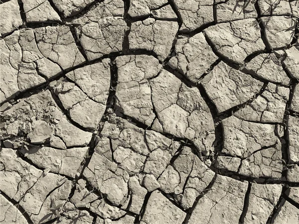 Fond Terre Fissuré Surface Sol Sèche Avec Fissures Fissures Boue — Image vectorielle