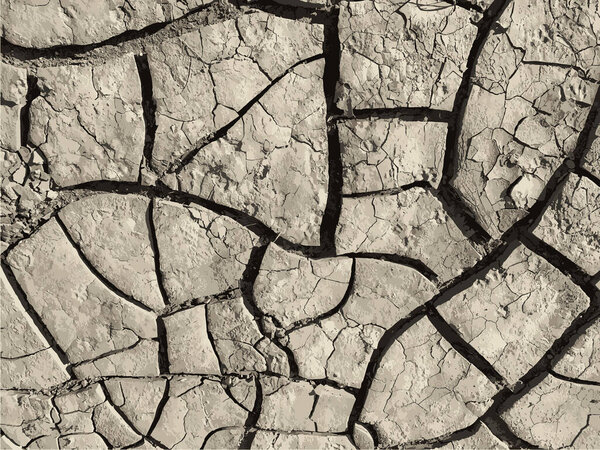 Cracked earth background. Dry ground surface with cracks. Mud cracks.