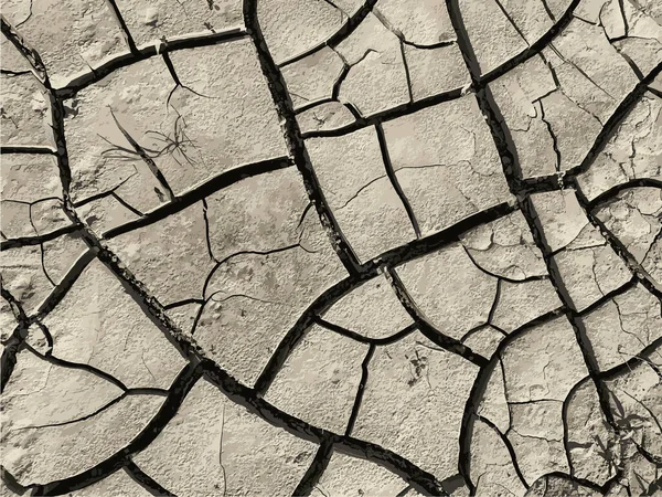 Cracked Earth Background Dry Ground Surface Cracks Mud Cracks — стоковый вектор