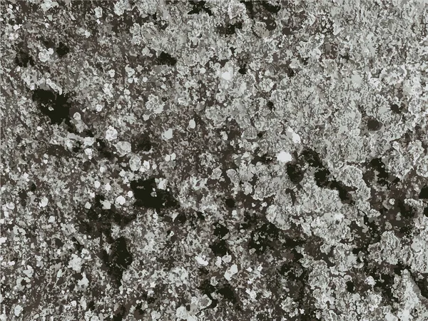 山岩质感石头背景 — 图库矢量图片