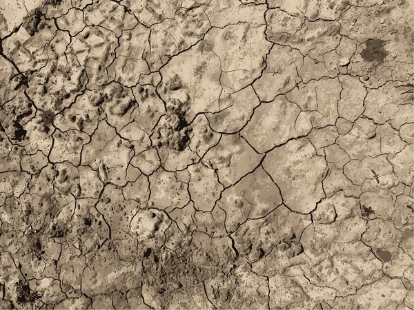 破碎的地球背景 干地表面有裂缝 泥巴裂缝 — 图库矢量图片