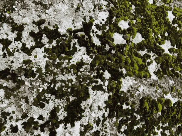 Dağ kaya dokusu. Taş arkaplan