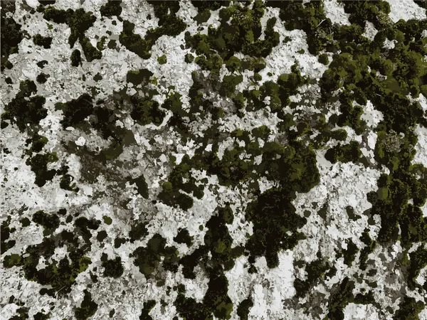 Dağ kaya dokusu. Taş arkaplan