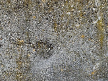 Beton duvar arka planı. Çimento arka planı