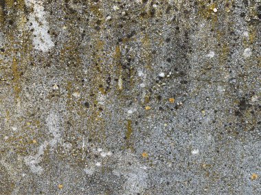 Beton duvar arka planı. Çimento arka planı