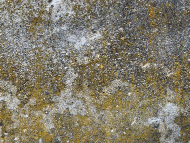 Beton duvar arka planı. Çimento arka planı