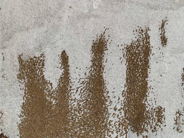 Beton duvar arka planı. Çimento arka planı