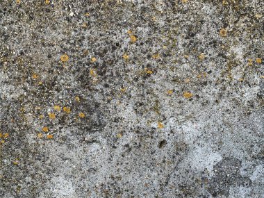 Beton duvar arka planı. Çimento arka planı