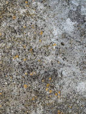 Beton duvar arka planı. Çimento arka planı