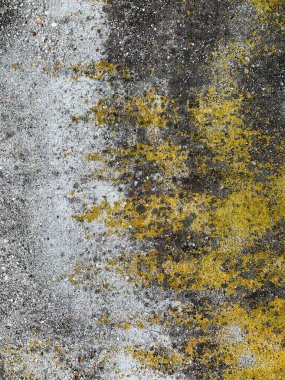 Beton duvar arka planı. Çimento arka planı