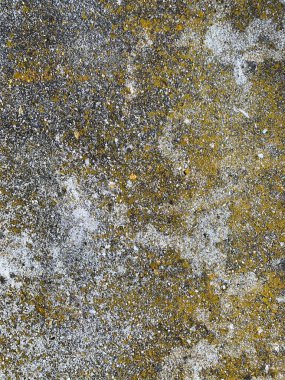 Beton duvar arka planı. Çimento arka planı