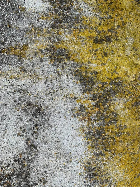 Beton duvar arka planı. Çimento arka planı