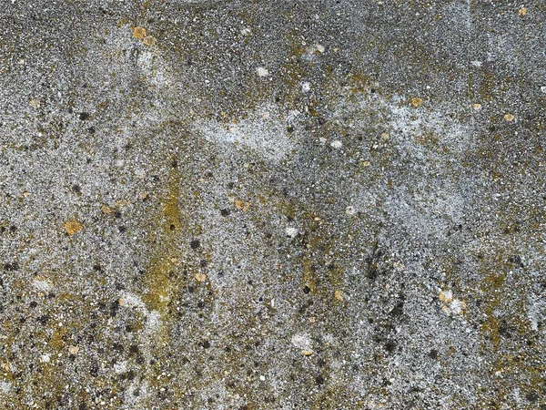 Beton duvar arka planı. Çimento arka planı