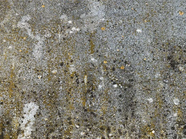 Beton duvar arka planı. Çimento arka planı