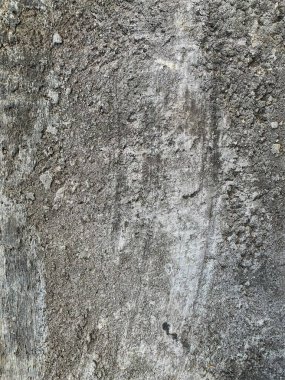 Beton duvar arka planı. Çimento dokusu