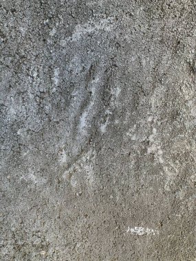 Beton duvar arka planı. Çimento dokusu