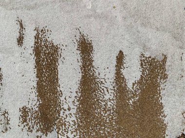 Beton duvar arka planı. Çimento dokusu