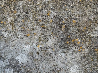 Beton duvar arka planı. Çimento dokusu