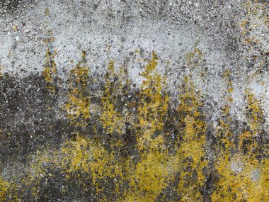 Beton duvar arka planı. Çimento dokusu