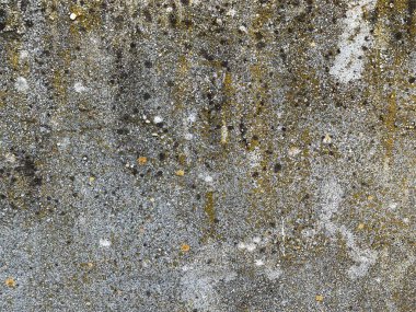 Beton duvar arka planı. Çimento dokusu