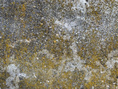 Beton duvar arka planı. Çimento dokusu