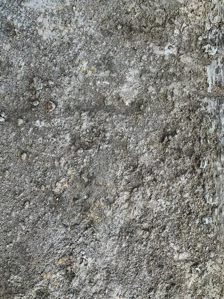Beton duvar arka planı. Çimento dokusu
