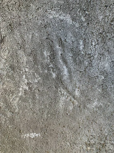 Beton duvar arka planı. Çimento dokusu