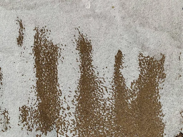 Beton duvar arka planı. Çimento dokusu