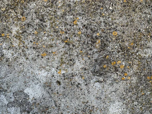 Beton duvar arka planı. Çimento dokusu