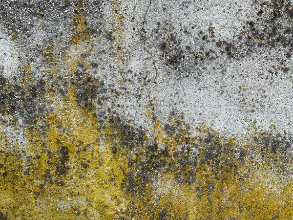 Beton duvar arka planı. Çimento dokusu