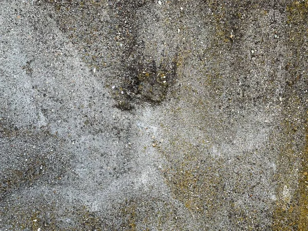 Beton Duvar Arka Planı Çimento Dokusu — Stok fotoğraf