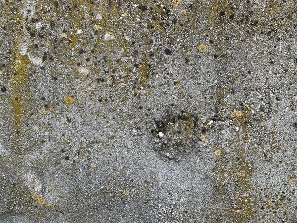 Sfondo Murale Cemento Struttura Cemento — Foto Stock