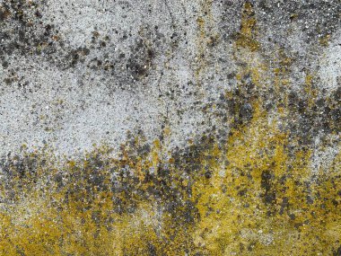 Beton duvar arka planı. Çimento dokusu