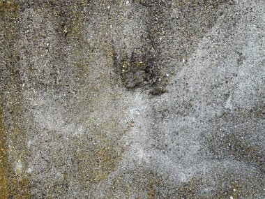 Beton duvar arka planı. Çimento dokusu