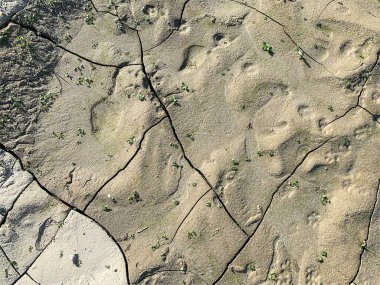 Çatlak duvar kâğıdı. Arkaplan