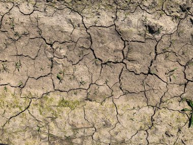 Çatlak duvar kâğıdı. Arkaplan