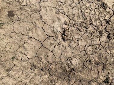 Çatlak duvar kâğıdı. Arkaplan