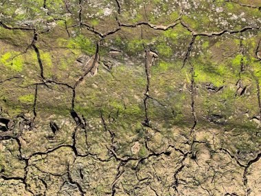 Çatlak duvar kâğıdı. Arkaplan