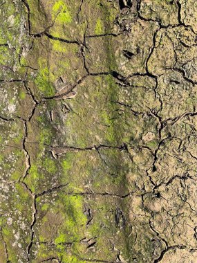 Çatlak duvar kâğıdı. Arkaplan