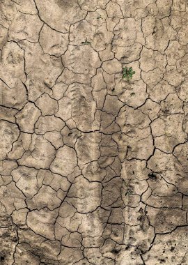 Çatlak duvar kâğıdı. Arkaplan