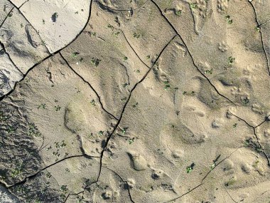 Çatlak duvar kâğıdı. Arkaplan