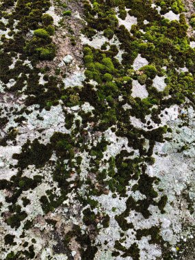 Dağ kayası arka planı. Taş zemin