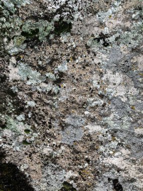 Dağ kayası arka planı. Taş zemin