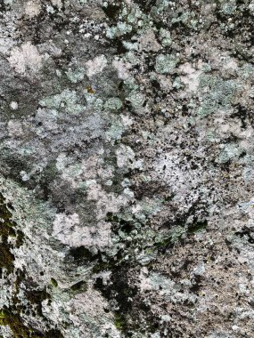 Dağ kayası arka planı. Taş zemin