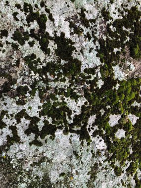 Dağ kayası arka planı. Taş zemin