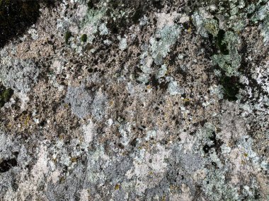 Dağ kayası arka planı. Taş zemin